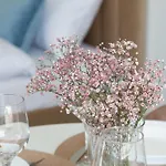 Seaside Kasprowicza 14 Apartman Kołobrzeg